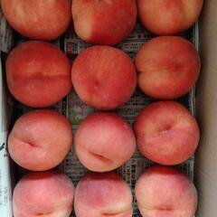 ☆桃🍑約2kg12個