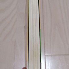 最終値下げ！　「あなたもいままでの10倍速く本が読める 常識を覆す速読術「フォトリーディング」　 ポール・R.シーリィ /　神田昌典の画像