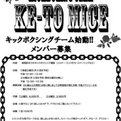 社会人キックボクシングチーム会員募集