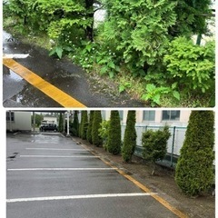 草刈りお任せください！🌱