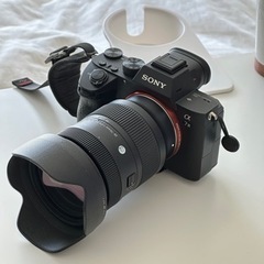 Sony A7M3 + Sigma 28-70 F2.8 + その他の構成品の画像