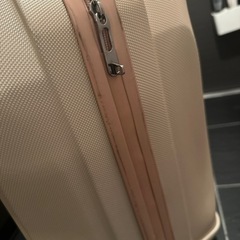 キャリーケース35L ピンクの画像