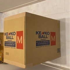 ダンボール箱未開封　120球　未開封1ダンボール。ナガセケンコー軟式野球ボール公認球  軟式野球ボールM号 120個 10ダース入りM-10DZ　（別途でご自宅までお届けいたします）の画像