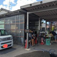 西区でメダカ無人販売10時〜17時まで。