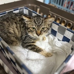 どなたかお願いします