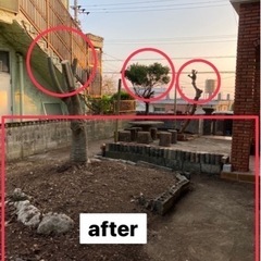 木の剪定と伐採、庭の片付けと掃除　 - 地元のお店