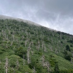 仙台に1人単身するんで、友達募集！！寂し〜\♪( ´▽｀)/