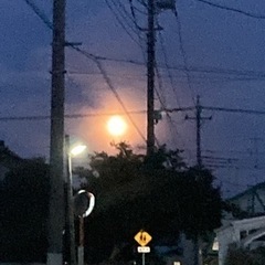 どんなものでも運びます♪