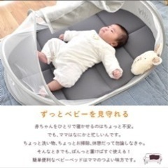 ミッフィーコンパクトベッド(蚊帳、袋、説明書のみ)の画像