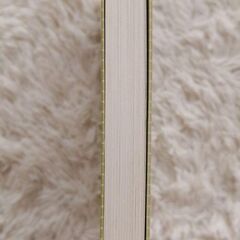 最終値下げ！「デキる人」の脳　本田直之　St. John Noahの画像