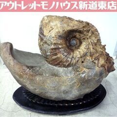 アンモナイト 化石 大型 重量 45kg 台座付き 詳細不明 オ...