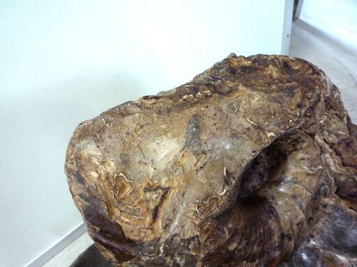 アンモナイト 化石 大型 重量 45kg 台座付き 詳細不明 オブジェ インテリア パワーストーン 札幌市東区 新道東店