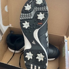 adidasゴルフシューズの画像