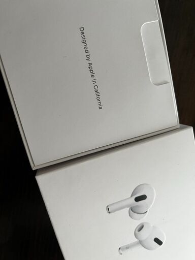 AirPods Pro   第1世代