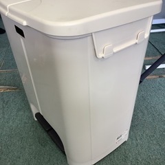 【リサイクルサービス八光】20L×2　天馬　イーラボホーム分別用　ダブルペールの画像