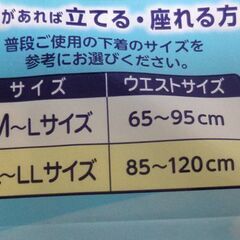 リリーフ テープ式にもなるパンツ L-LLサイズ [12枚]×3パックの画像