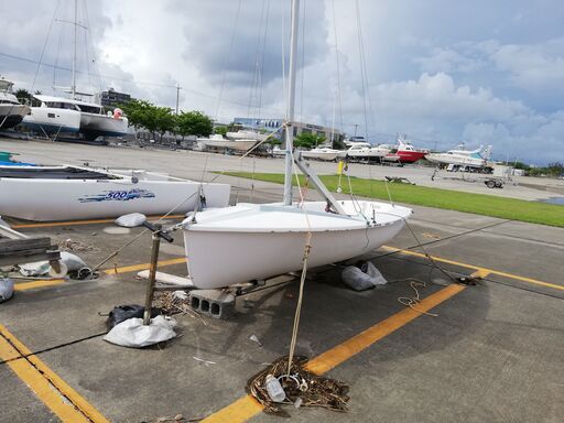 ヨット　ディンギー　シカーダ