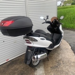 マジェスティー125の画像