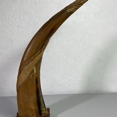✨🔔期間限定・特別価格🔔✨縁起物 水牛のツノ オブジェ 置物の画像