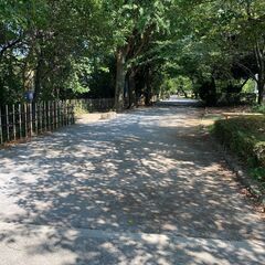 11/3(日)北区民商まつり 飛鳥山公園フリーマーケット♪の画像