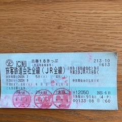 青春18きっぷ　2回分