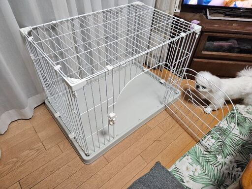【引取4,000円】犬用ゲージ「小型犬用」