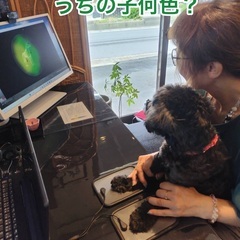 人もペットもオーラ&チャクラを3D撮影できます − 奈良県