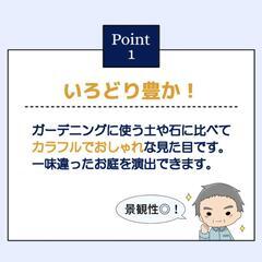 瓦チップの画像