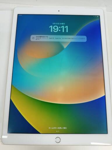【SIMロック解除済】iPad Pro 12.9インチ (A1652) 128GB