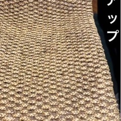 ウォーターヒヤシンス☆サンベット☆サンルームやお庭にも✨の画像