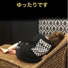 ウォーターヒヤシンス☆サンベット☆サンルームやお庭にも✨の画像