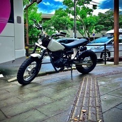 tw225