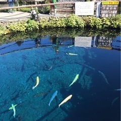 気軽に遊べる歳近い👩‍🦰友達がほしい！ - メンバー募集