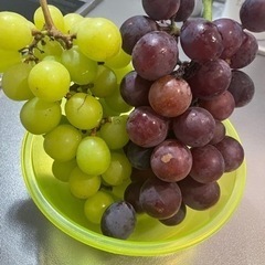 🍇《取引中》安心院産ぶどうマスカット食べ比べ1キロ②🍇