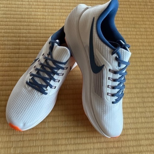 NIKE ペガサス39 オリジナルカラー　29.5 新品