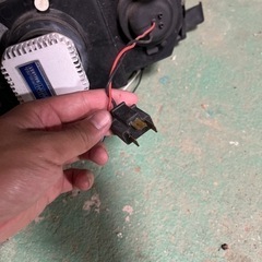 bB ncp30ヘッドライト  イカリングの画像