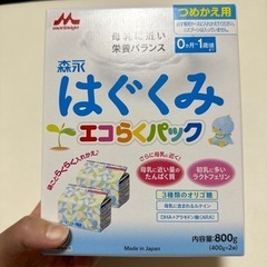 はぐくみエコらくパック400ｇ×2袋  2箱