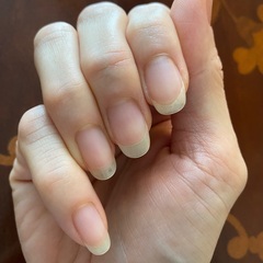 検定モデル