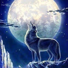 人狼ゲームやりませんか🐺🌔⁇