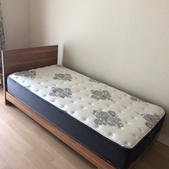 　【受け渡し予定者決まりました】 9/8の10時〜11時引取希望...