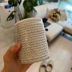 リングボーイ　歩行器　結婚式の画像