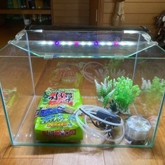 水槽　45㌢スッキリ枠なし　付属品ありの画像