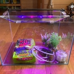 水槽　45㌢スッキリ枠なし　付属品ありの画像