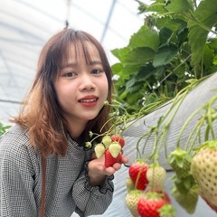 オンラインベトナム語マンツーマン♪の画像
