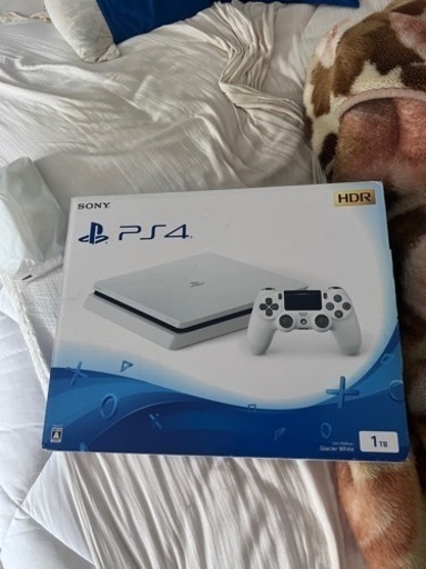 PS4 本体 1TB ホワイト CUH-2100B コントローラとヘッドセット付き