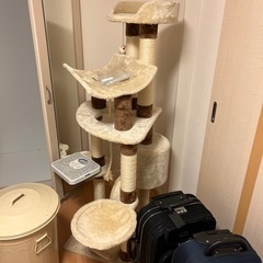 キャットタワーお譲りします