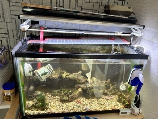 海水魚飼育セット