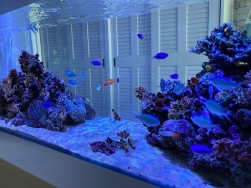 海水魚水槽オーバーフローセット　120 45 45  スキマー、殺菌灯、LED球