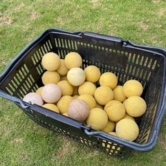 軟式ボール　４２個