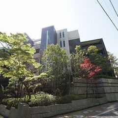 🏡高級分譲賃貸マンション　浄水エリアの人気分譲マンション　中央区平尾🏡